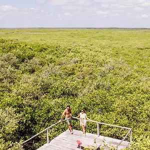 https://vida-silvestre.tulum-hotels.net
